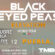BLACK EYES PEAS EN PUEBLA 12 de octubre Auditorio GNP