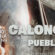 CALONCHO EN PUEBLA 21 de junio Auditorio Explanada